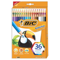 Bic Evolution 36pzas con 2 lápices